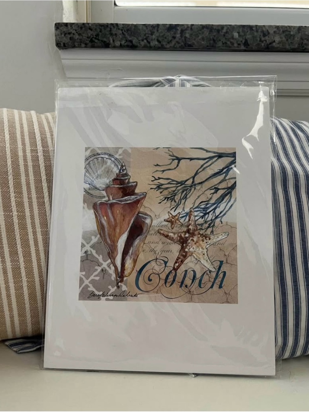 Seashell Conch Art Print in Brown and Blue